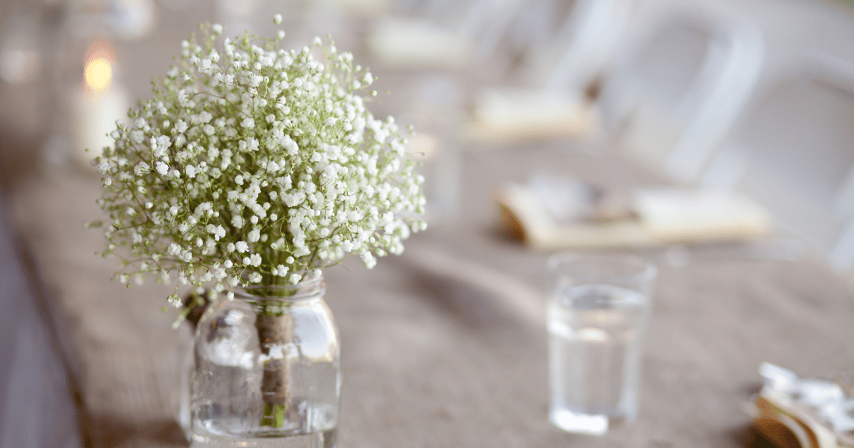 Mason jar with baby's breath on a table covered in burlap at a celebration. Southern Seed Exchange.