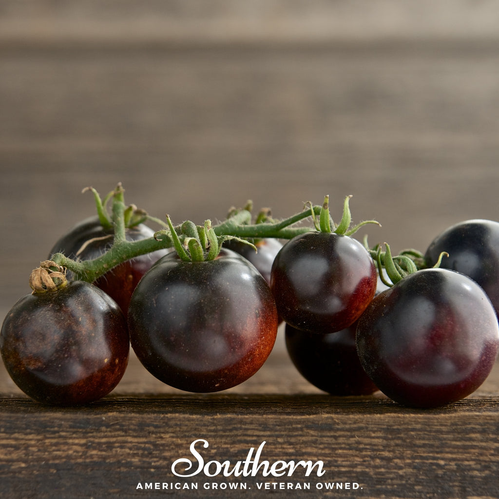 Solanum lycopersicum - Rare - Star Shape Tomato - 10 Seeds - Fresh See –  IDSeeds Farm