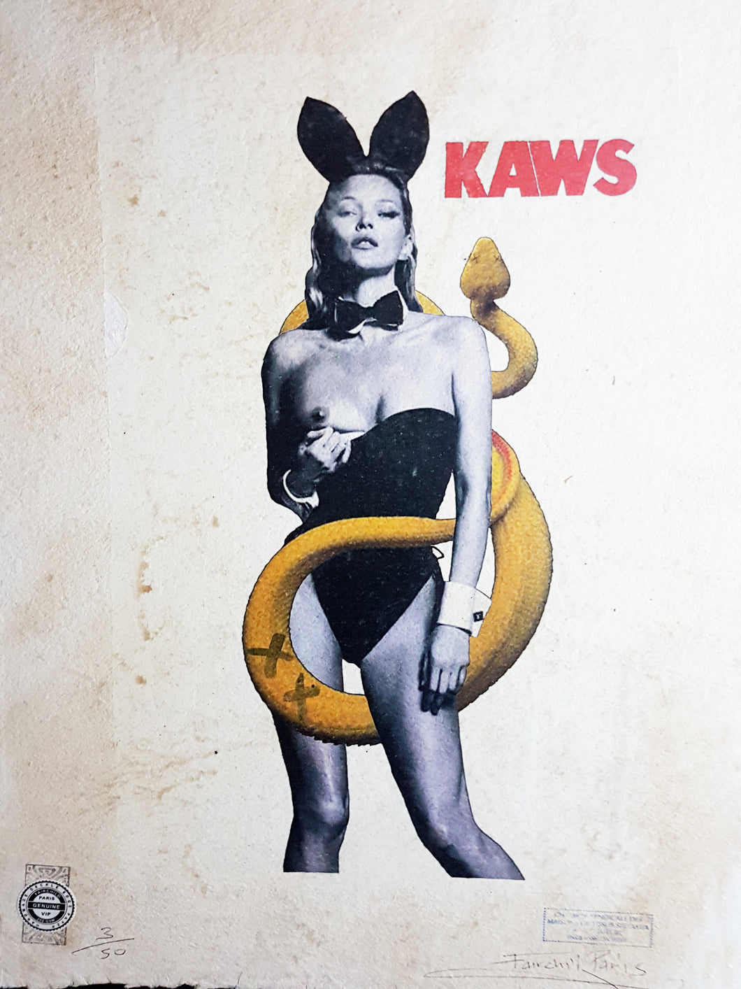 86%OFF!】 限定マット額装品 Kaws and David Sims Kate Moss econet.bi