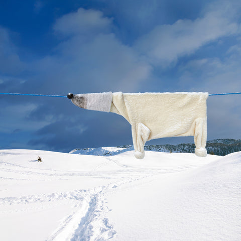 Polar bear photograph, Helga Stentzel