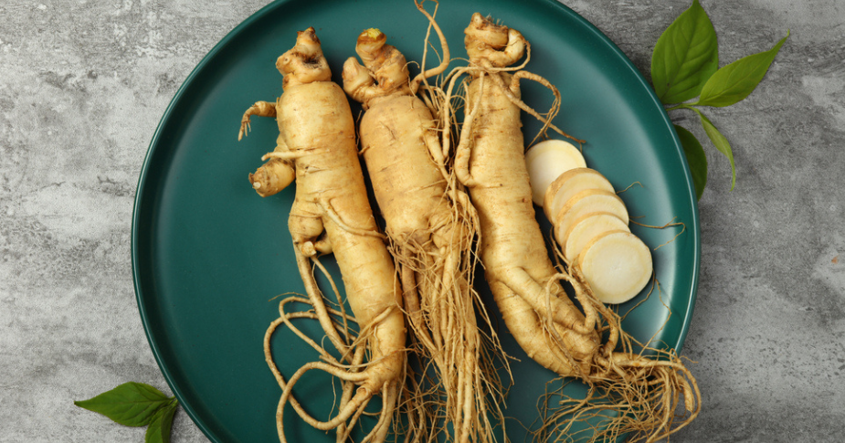 Ginseng: An Ancient Root with Modern Health Benefits