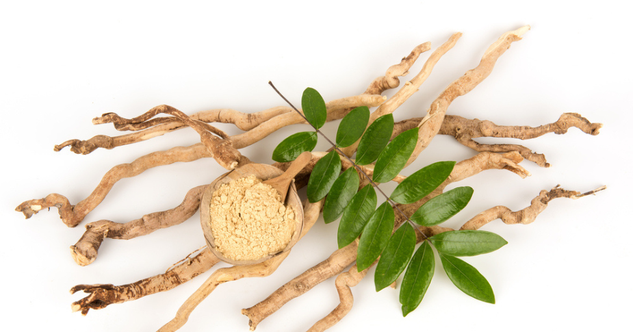 Tongkat Ali: A Potent Herbal Extract to Support Male Fertility