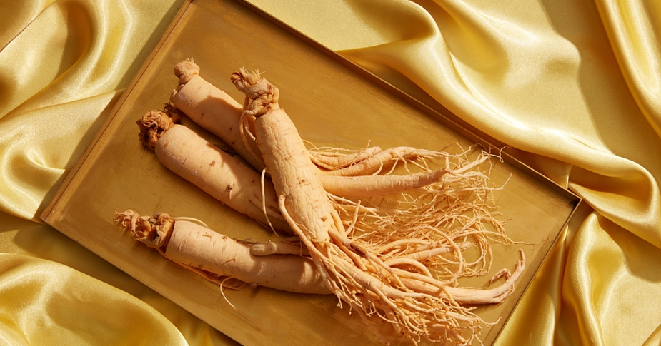 Ginseng: A Medicinal as Well as A Traditional Herb