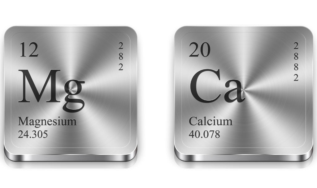 magnesium and calcium