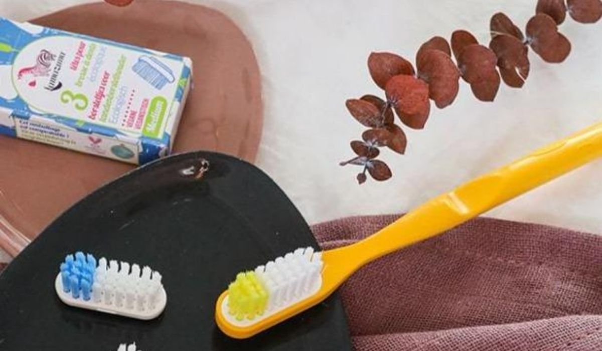 brosse à dent interchangeable réutilisable éco responsable zéro déchet