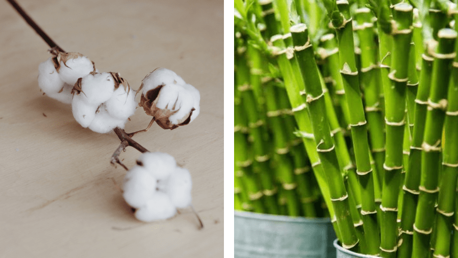 Goodies eco responsable : matières naturelles coton bio et bambous