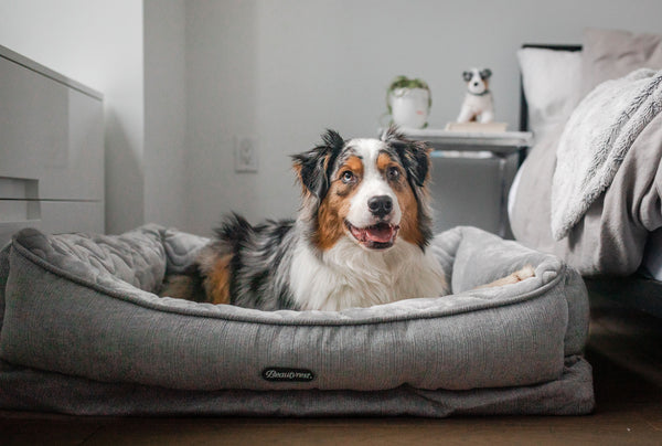 Beautyrest Pet Beds