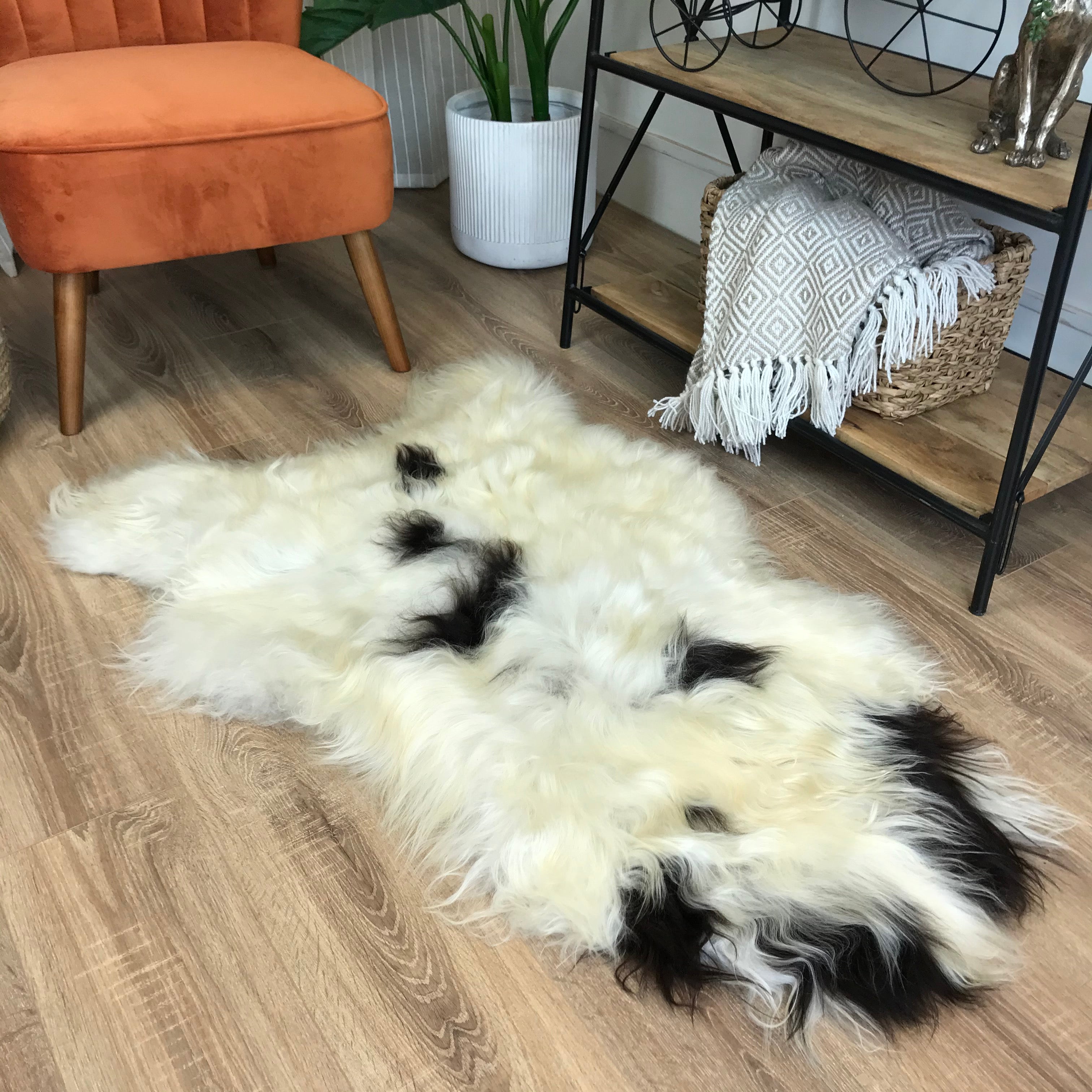 An image of Natural Spotted Icelandic Sheepskin Rug Extra Large - Choose Your Rug ICESPOTXL1