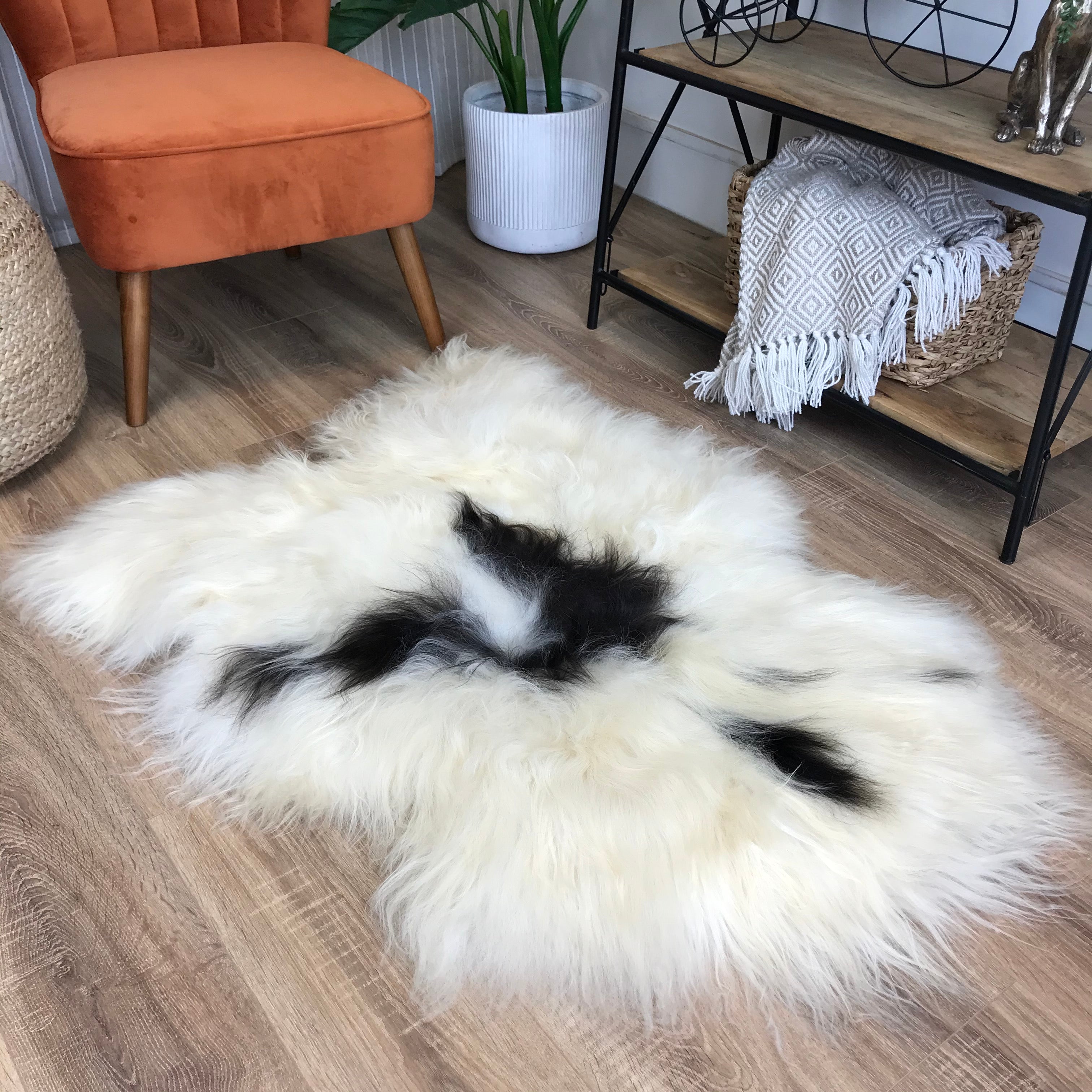 An image of Natural Spotted Icelandic Sheepskin Rug Extra Large - Choose Your Rug ICESPOTXL2