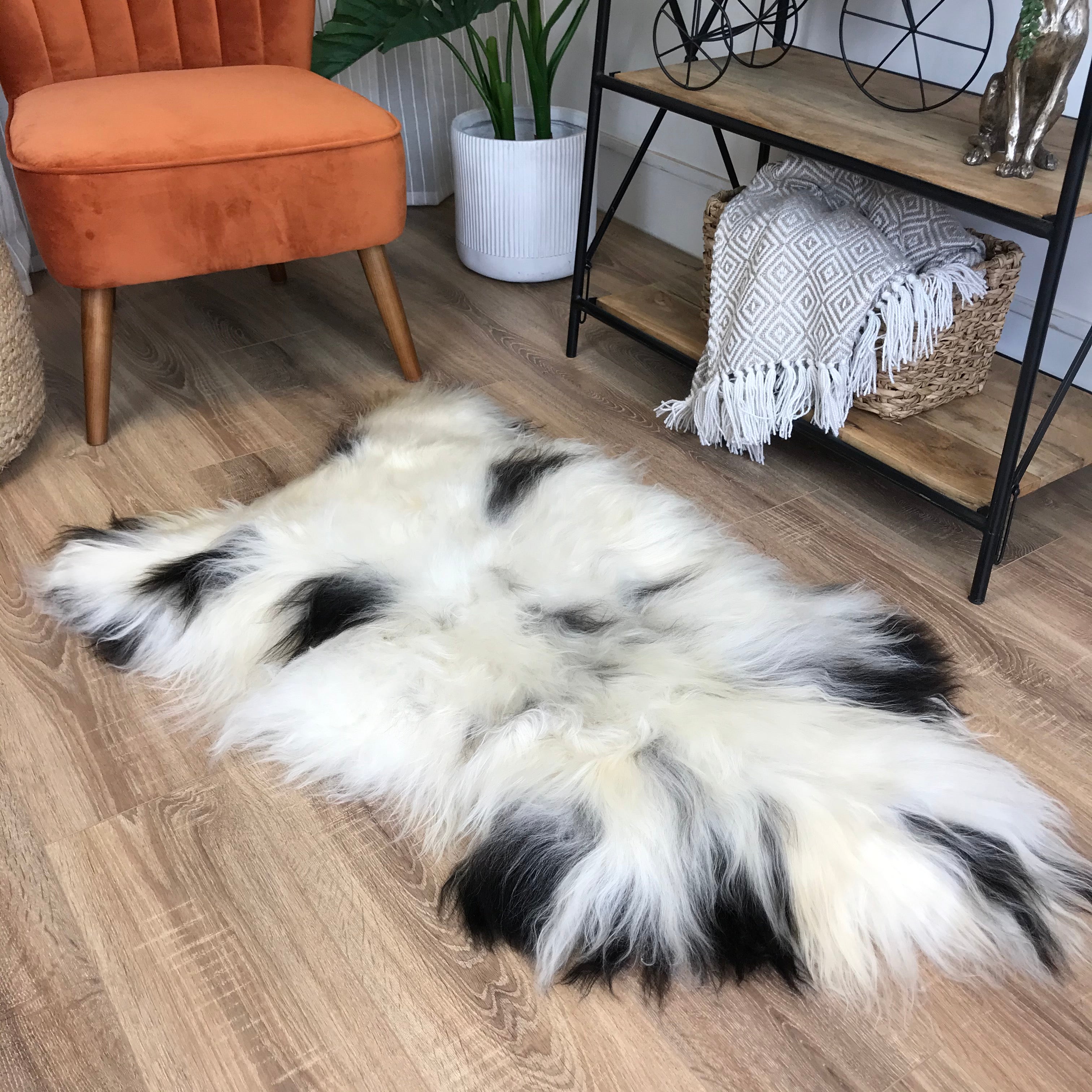 An image of Natural Spotted Icelandic Sheepskin Rug Extra Large - Choose Your Rug ICESPOTXL3