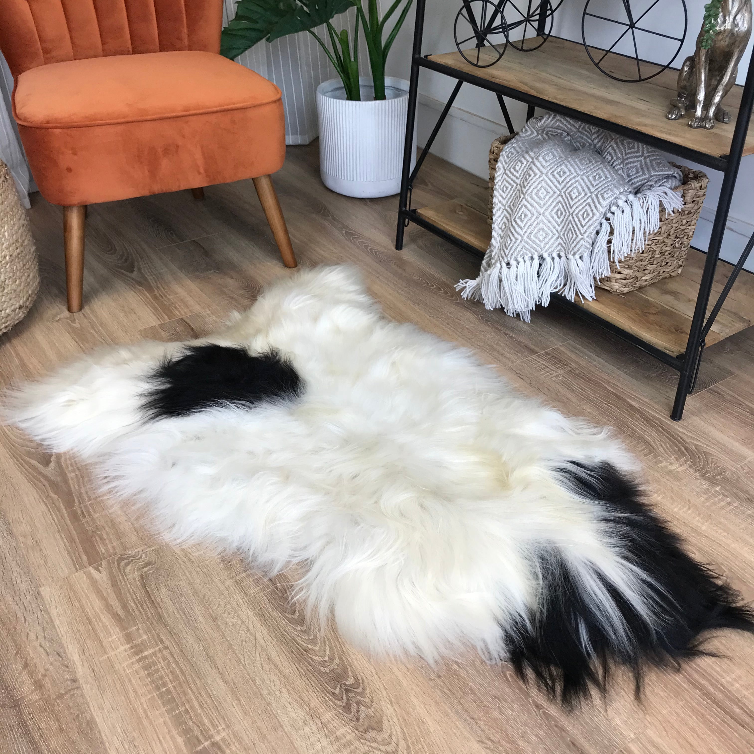 An image of Natural Spotted Icelandic Sheepskin Rug Extra Large - Choose Your Rug ICESPOTXL4