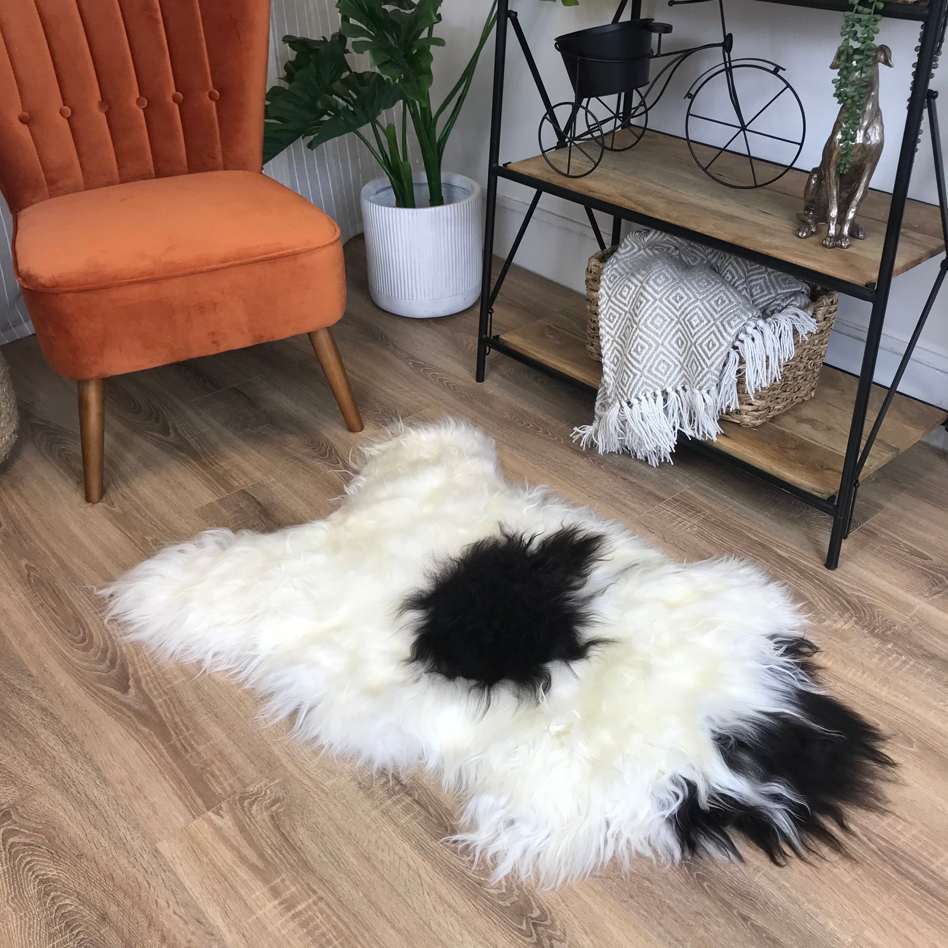 An image of Natural Spotted Icelandic Sheepskin Rug Medium - Choose Your Rug ICE-MED-SPOT8