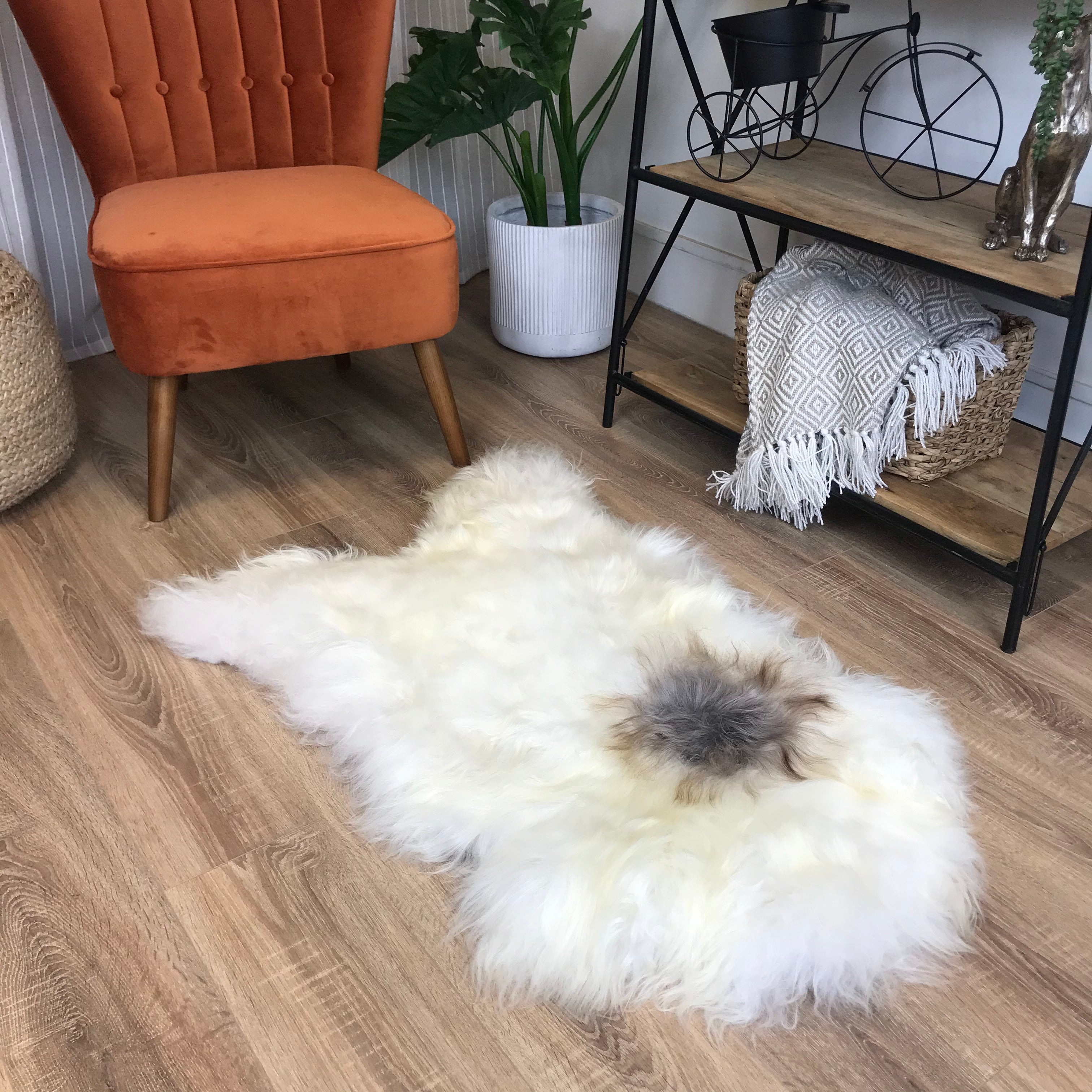 An image of Natural Spotted Icelandic Sheepskin Rug Medium - Choose Your Rug ICE-MED-SPOT25