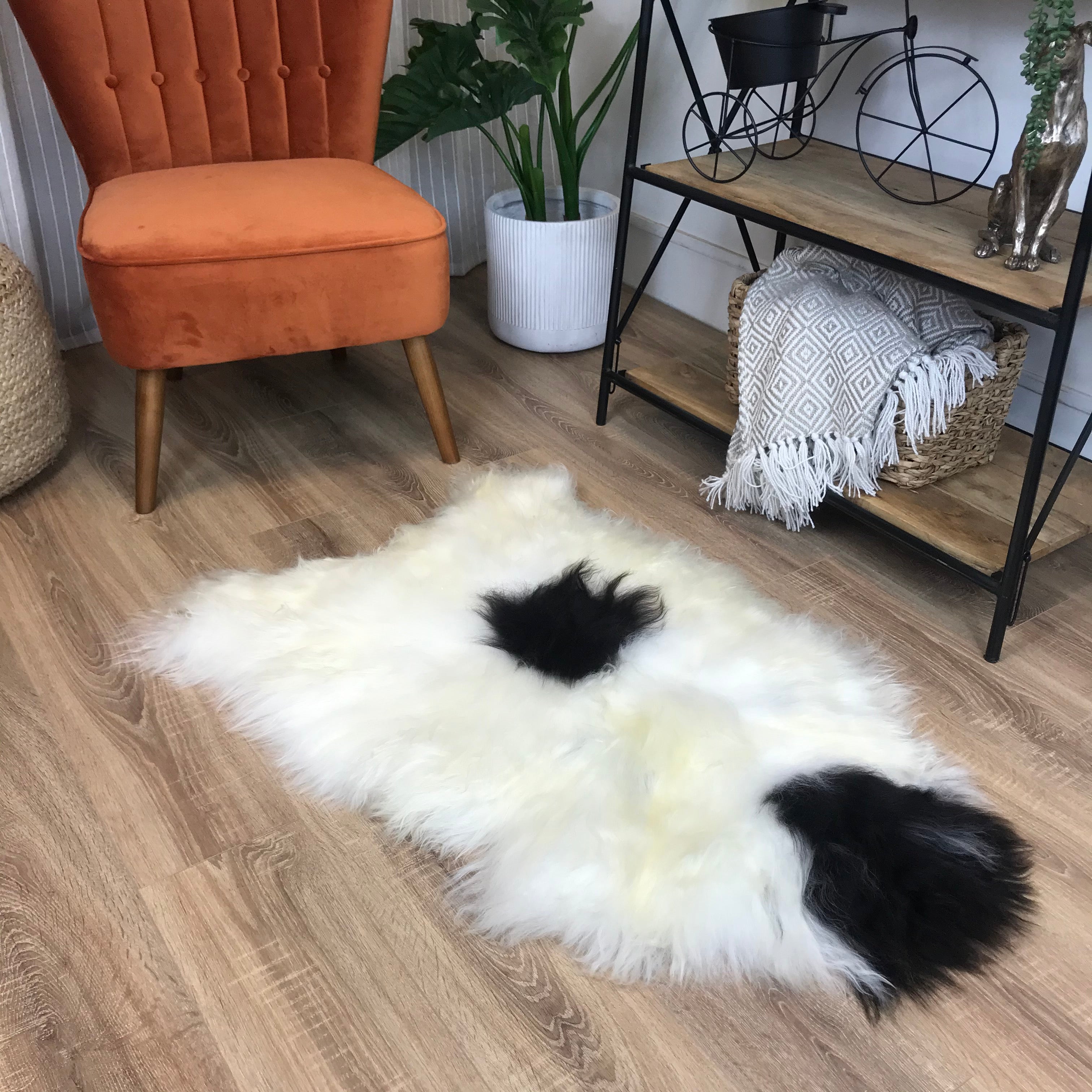 An image of Natural Spotted Icelandic Sheepskin Rug Medium - Choose Your Rug ICE-MED-SPOT33