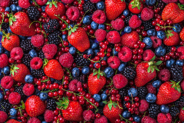 wilde Beeren für einen gesunden Darm