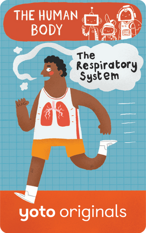 The Human Body: The Respiratory System. Yoto
