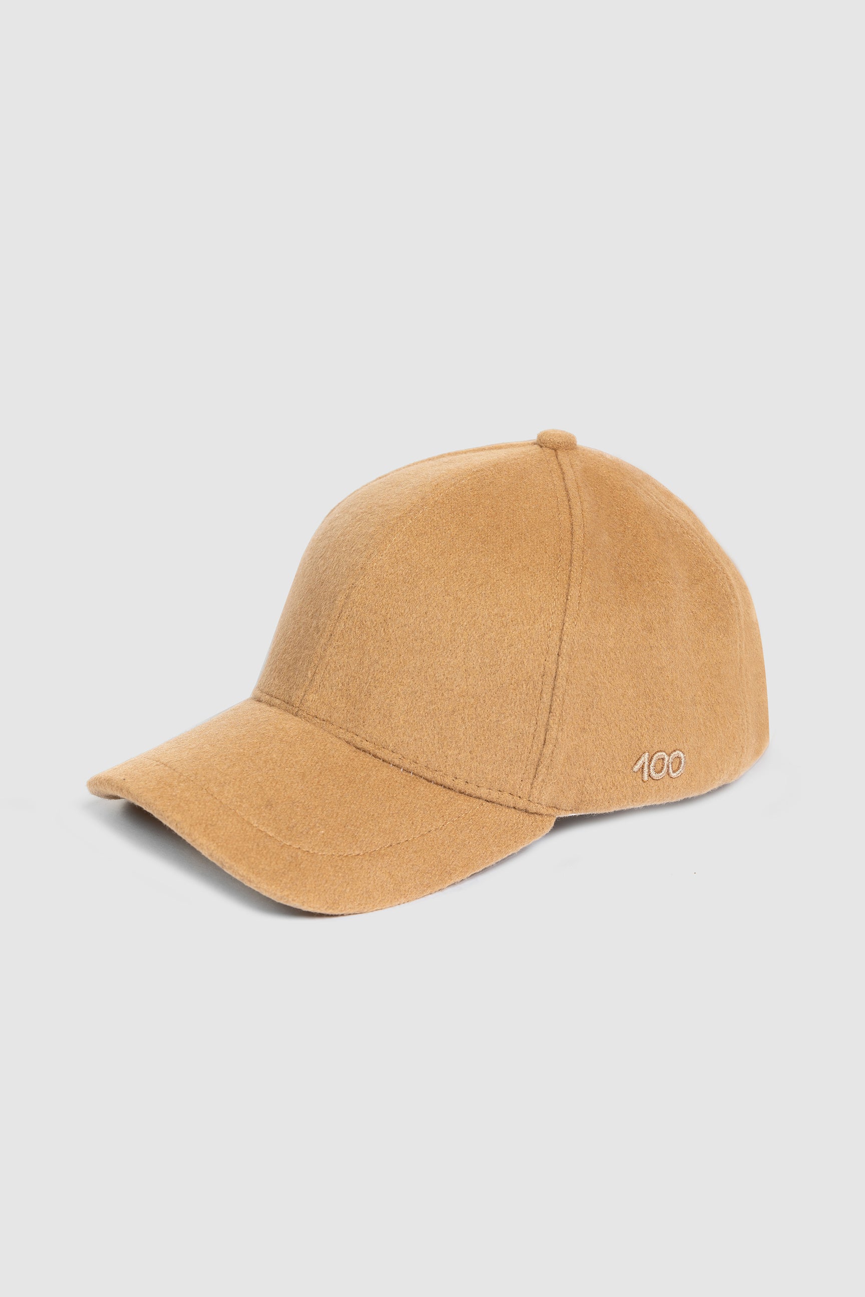 The 100 Cap in Camel Cashmere (Camel (499) / One Size)