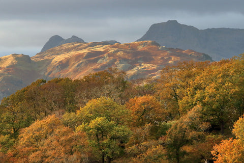 Langdale Valley in the Lake District