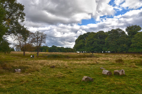 field