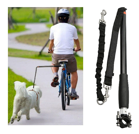 best dog bike attachment