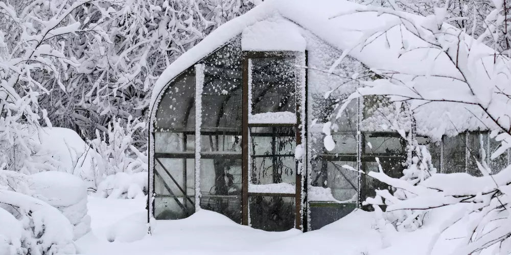 Comment protéger une serre du froid ?