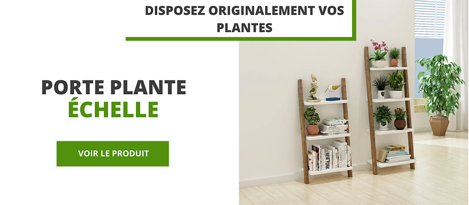 https://potsdefleursandco.com/products/meuble-echelle-plante