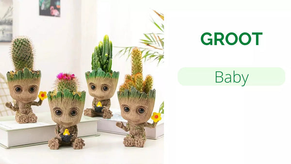 bebe groot