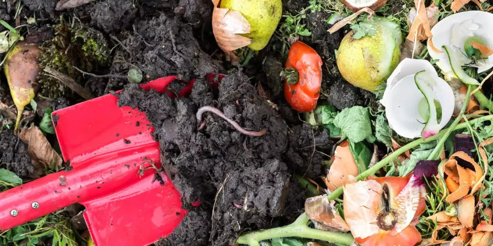 comment nourrir le sol d'une serre de jardin