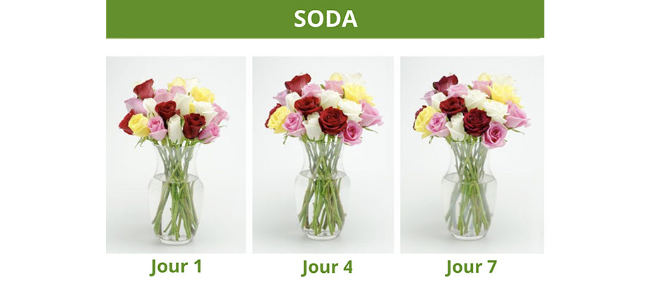 garder fleurs avec soda