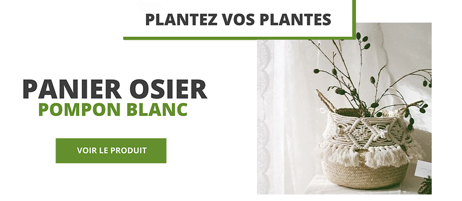 panier osier pompon blanc