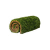 Live Grass / Live Sod - Porch Potty Standard - 4 x 2 Training Sod