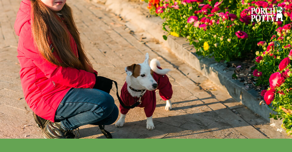 A young woman wears a matching hoodie with her terrier as they go on a walk by colorful flowers