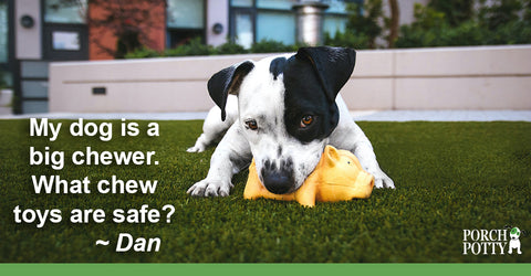 Dan wants to make sure he's giving Q, his pup, the right kind of chew toys that won't harm him.