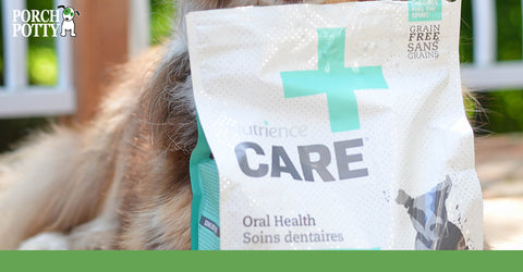 For dogs that are resistant to teeth brushing, there are special dental diets available.