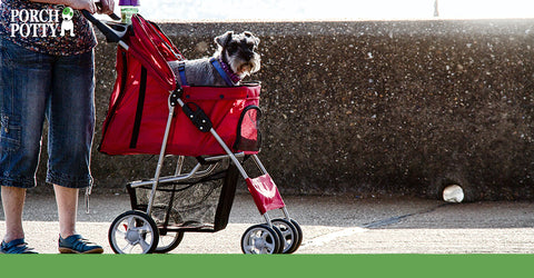 Strollers can help your dog continue to enjoy fresh air and interesting scents even when they can't walk themselves.