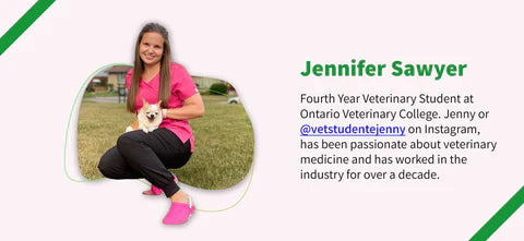 Jennifer Sawyer, Fourth Year Veterinary Student