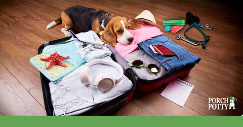 A puppy lays down on an open suitcase