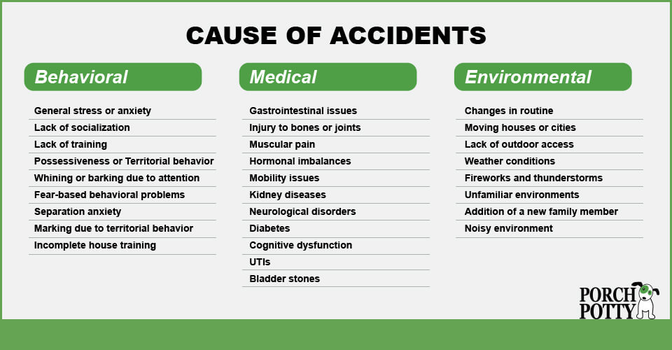 A table that lists causes of accidents during dog training