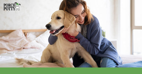 A young woman hugs and cuddles her Golden Retriever puppy