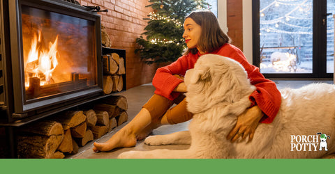 A big fluffy dog lays in front of a fireplace with its owner