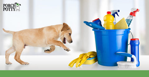 A puppy plays near a blue bucket of cleaning supplies