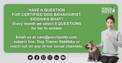 Have questions for Siddhika? Reach out to us at care@porchpotty.com Subject: Dog Trainer Siddhika Bhat or contact us on any of our social channels
