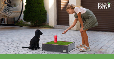 A young girl offers her puppy a treat