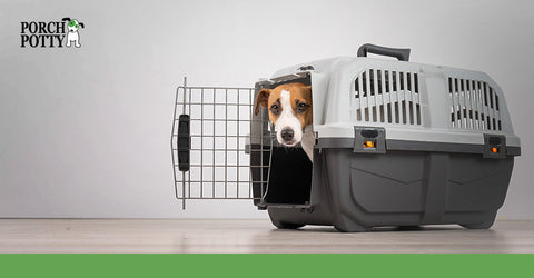 Having the right sized crate is essential to successful crate training. There should be enough space for your dog to comfortably lay down and not much more.