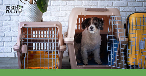 Traveling with your dog is much easier when your dog is crate trained.