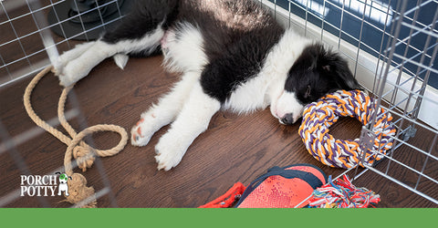 Dogs should enjoy their time in their crate as peaceful and relaxing.