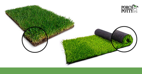 A comparison of sod and synthetic grass