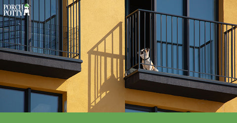Yes, you can train your puppy to go potty on your balcony with the help of puppy pee pads or a dog toilet.