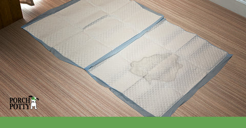 Whether your dog pees on a puppy pad or has an accident in the home, you need to make sure it's cleaned up quickly and thoroughly.