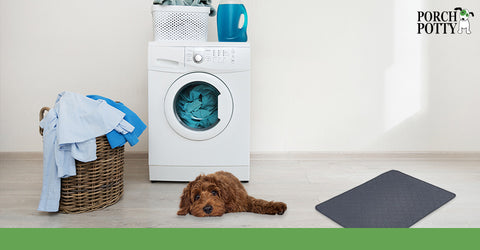 Reusable pee pads offer a more eco-friendly option to disposable puppy pads.